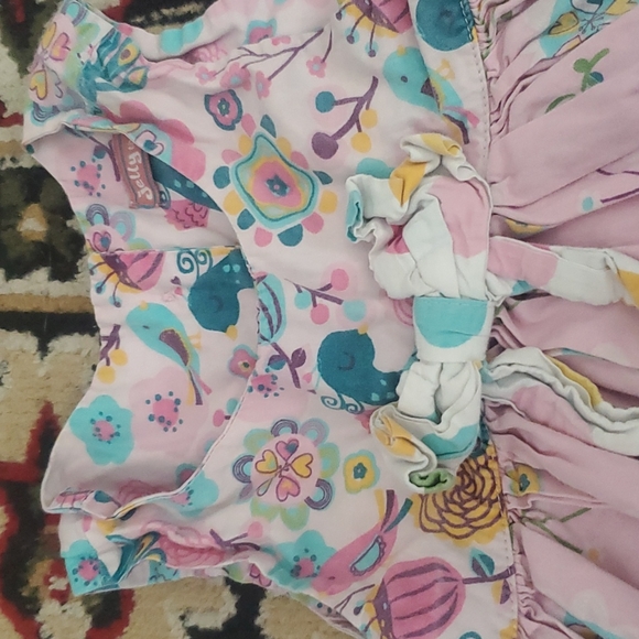 4T Jelly the pug Peacock dress - Picture 2 of 3